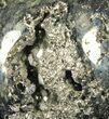 Polished Pyrite Skull With Pyritohedral Crystals #96333-1